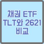 TLT와2621