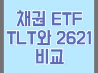 TLT와2621